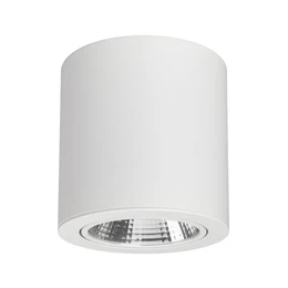 Фото #1 товара Светильник SP-FOCUS-R140-30W Warm White (Arlight, IP20 Металл, 3 года)