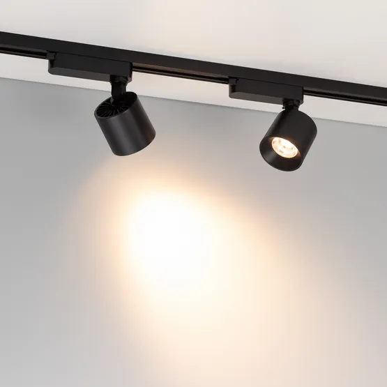 Фото #2 товара Светильник LGD-DYKE-2TR-R75-16W Warm3000 (BK, 20 deg, 230V) (Arlight, IP20 Металл, 5 лет)