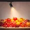 Минифото #3 товара Светильник LGD-GERA-4TR-R74-20W Warm SP3000-Fruit (BK, 24 deg, 230V) (Arlight, IP20 Металл, 3 года)