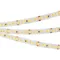 Минифото #1 товара Светодиодная лента RT 2-5000 24V White6000 3x (2835, 840 LED, LUX) (Arlight, 17 Вт/м, IP20)