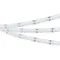 Минифото #4 товара Светодиодная лента CSP-X840-12mm 24V RGBW-MIX (16 W/m, IP20, 5m) (Arlight, -)